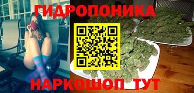 твердый Пугачёв