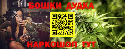 гидра Рузаевка